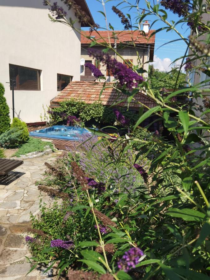 דוברינישטה Mira Guest House מראה חיצוני תמונה